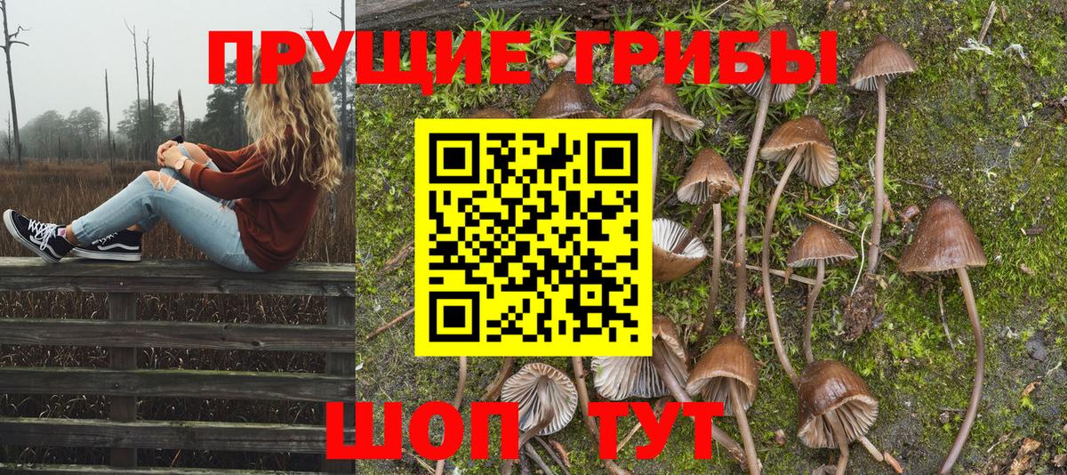 Псилоцибиновые грибы Psilocybine cubensis  Псилоцибиновые грибы Psilocybine cubensis  Вход с VPN  Железноводск 